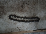 GY6-150cc Oil Pump Chain 15141-GY6A-9000